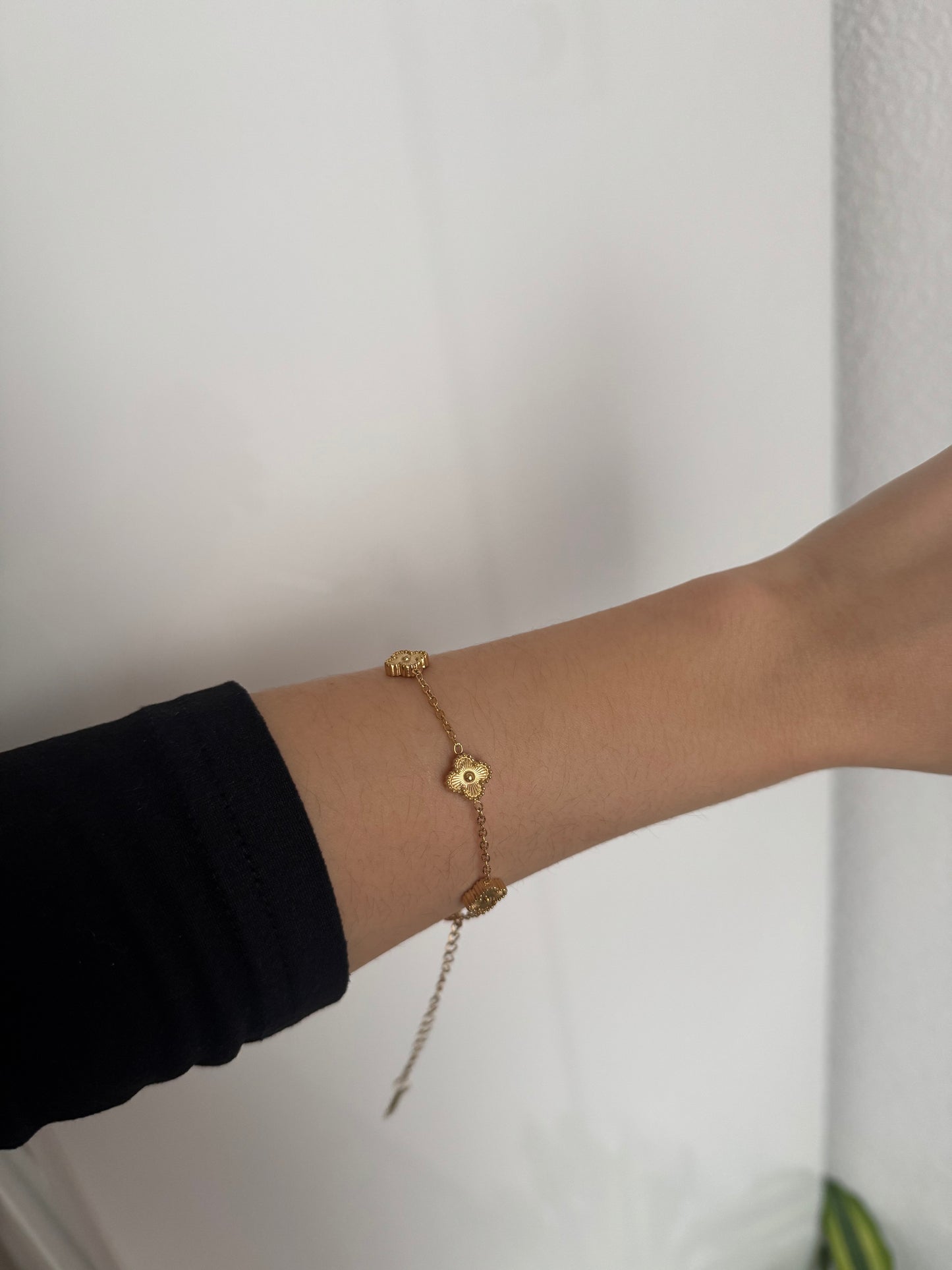 Gold Clover Mini